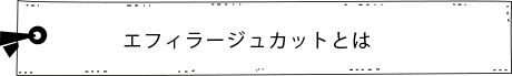 エフィラージュカットとは